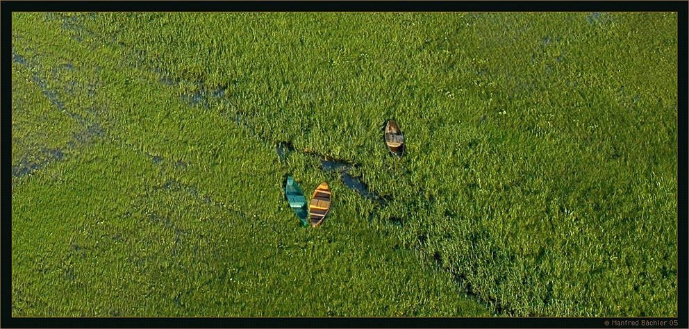 Biebrza - Nationalpark, "europäischer Amazonas"
Schlüsselwörter: Biebrza - Nationalpark, Polen