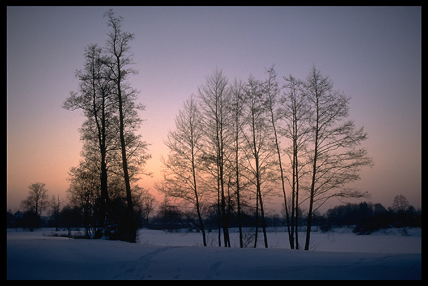 Bialowieza - Nationalprk, Polen
Sonnenaufgang auf dem Weg zum Bialowieza - Nationalpark in Polen. An diesem Morgen im Februar stand das Thermometer bei - 28°C. Die Akkus meiner Contax musse ich abwechslungsweise in der Hosentasche aufwärmen um noch fotografieren zu können.
Schlüsselwörter: Bialowieza, Polen