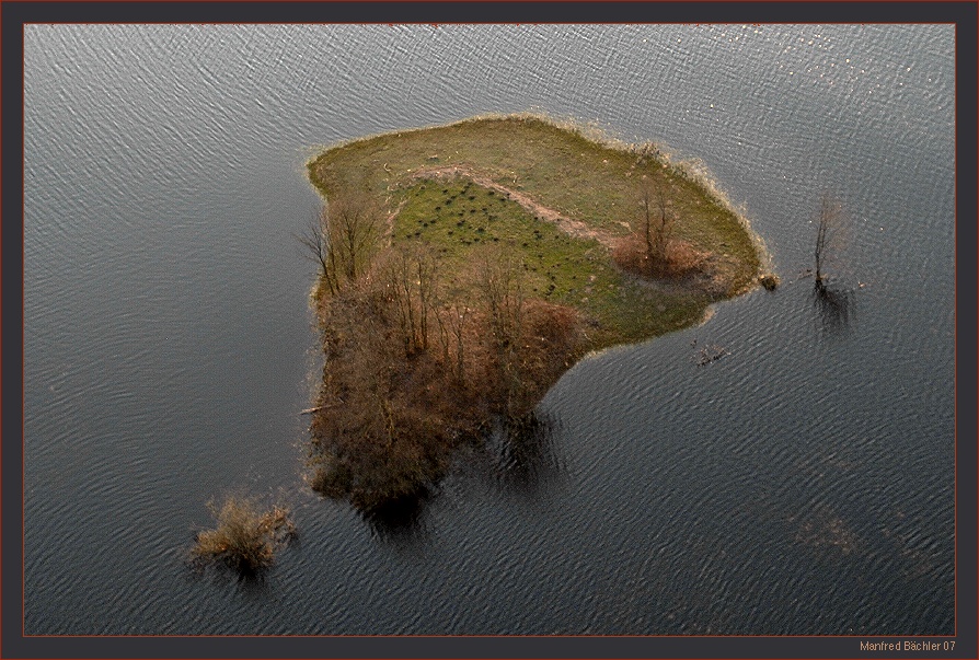 Biebrza Nationalpark, "europäischer Amazonas"
Naturlandschaft in Nordostpolen. Den Wühlmäusen da unten wird wohl langsam ungemütlich...
Schlüsselwörter: Biebrza - Nationalaprk, Narew, Polen