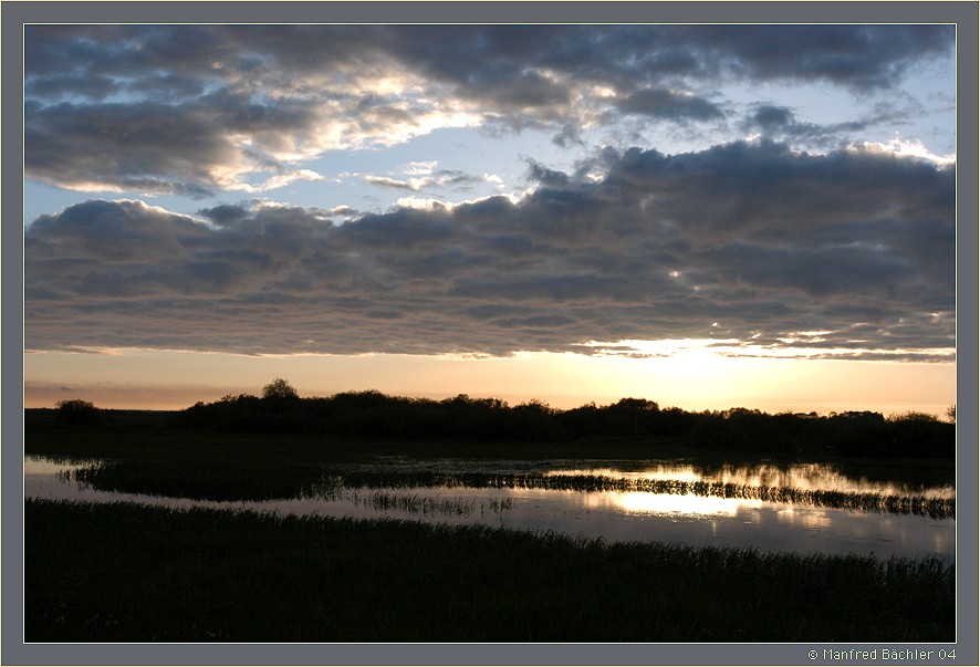 Nationalpark "Biebrza" Europas grösstem Sumpfgebiet, Nordostpolen
Ich mag halt Sonnenaufgänge. Hier im Mai 2004, Zeit 04.30
Schlüsselwörter: Nationalpark Biebrza, Polen