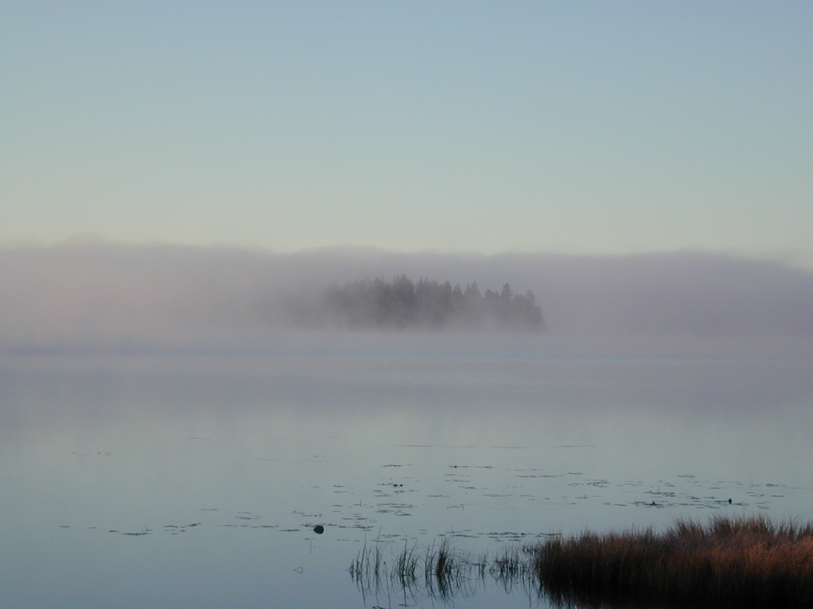 Seenlandschaft Mittelschweden
Sachte umhüllt ein feiner Nebel die Landschaft am Teich.
Herbst in Mittelschweden, irgendwo - nirgendwo?
