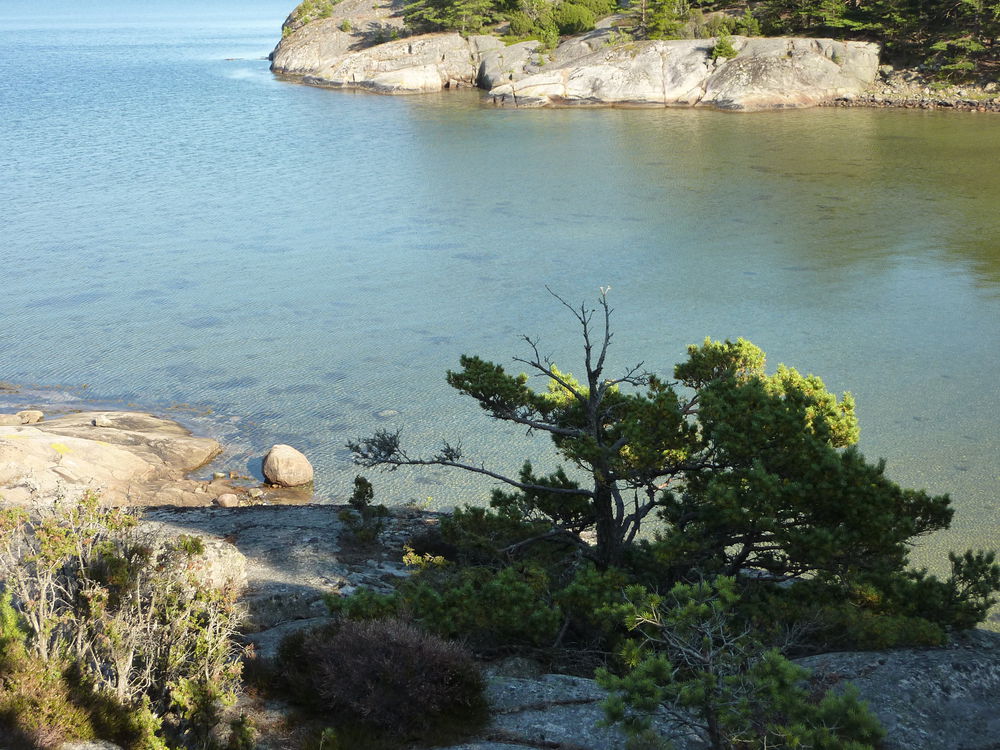 Kosterhavet National Park
