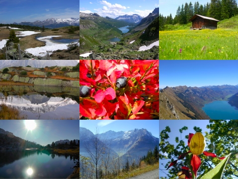 Naturlandschaft Schweiz
