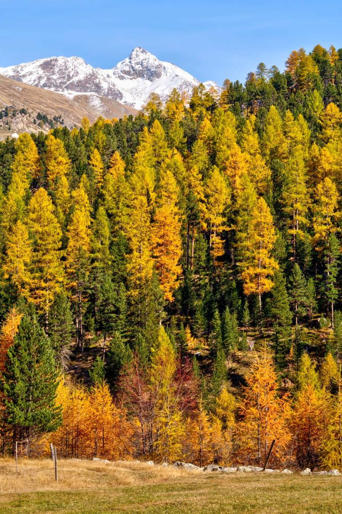 _5MN4646_7_Ausgewogen_Realistisch
Goldener Herbst 2020
