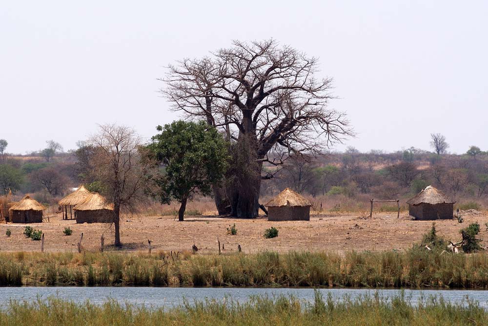 Dorf und Baobab
Ein Dorf am Okavango, Namibia, mit schönem Baobab
Schlüsselwörter: Namibia, Dorf, Okavango, Baobab