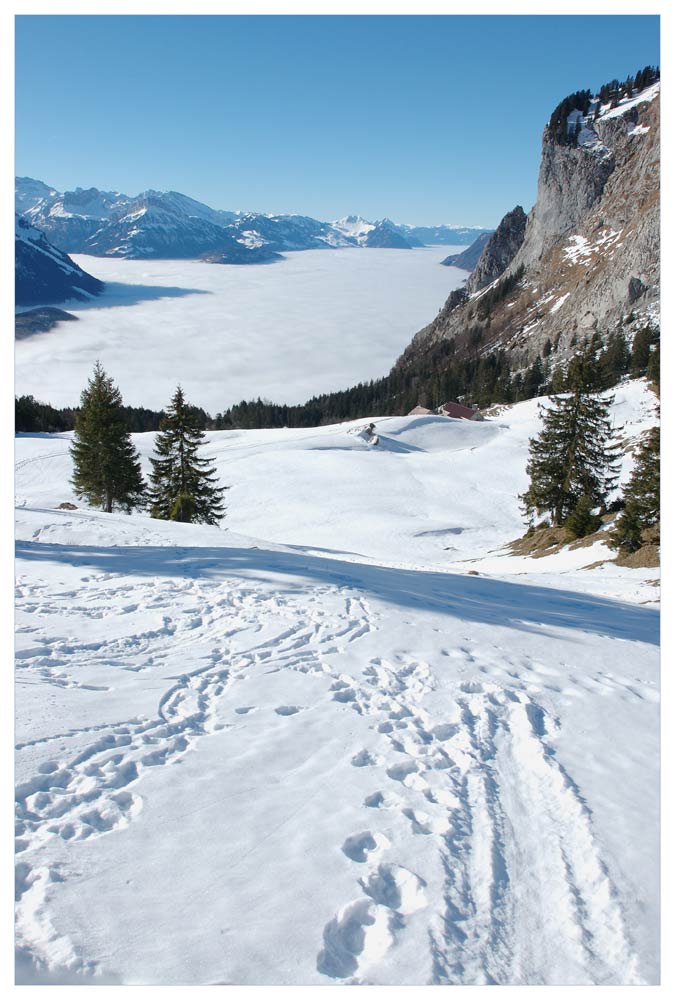 Winter auf derf Holzegg,
Am Fusse des "Grossen Mythen", Blick auf Vierwaldstättersee, respektive das Nebelmeer
Schlüsselwörter: Holzegg, Winterlandschaft