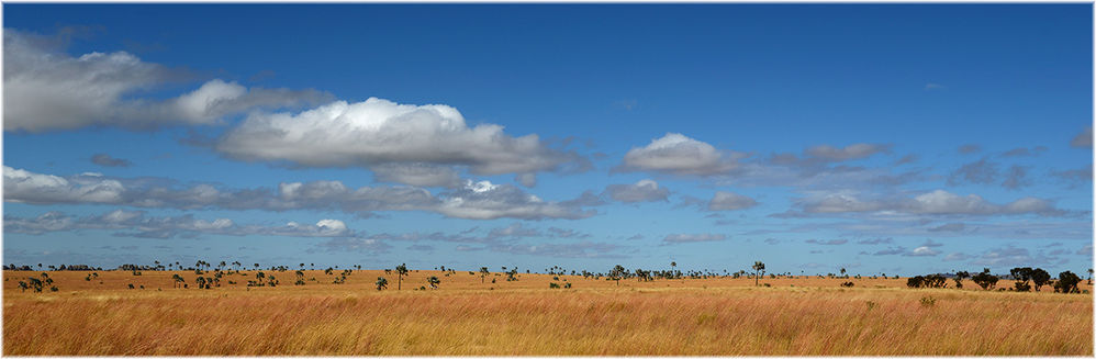 Plateau Horombe
Grossde Hochebene im Süden Madagaskar
Schlüsselwörter: Plateau Horombe, Madagaskar, Madagascar