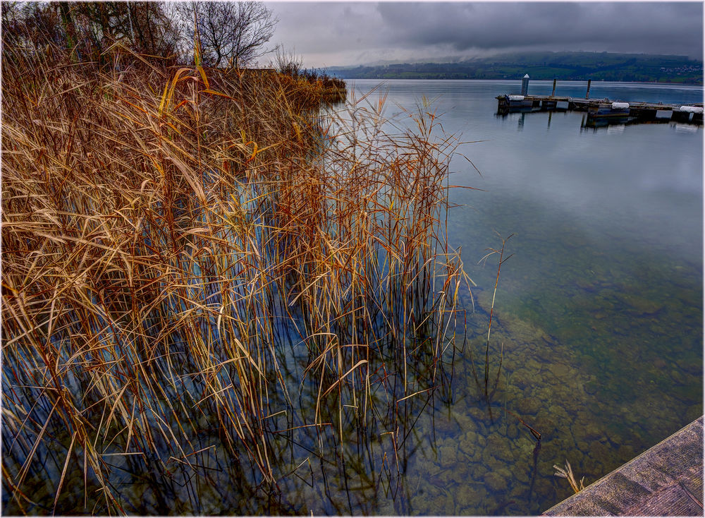 Sempachersee Dezember 2015
Schlüsselwörter: Sempachersee Dezember 2015