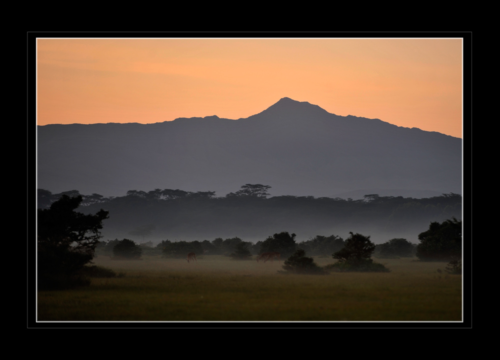Morgenlicht, Lake Naivasha
Schlüsselwörter: Morgenlicht, Lake Naivasha, Kenia