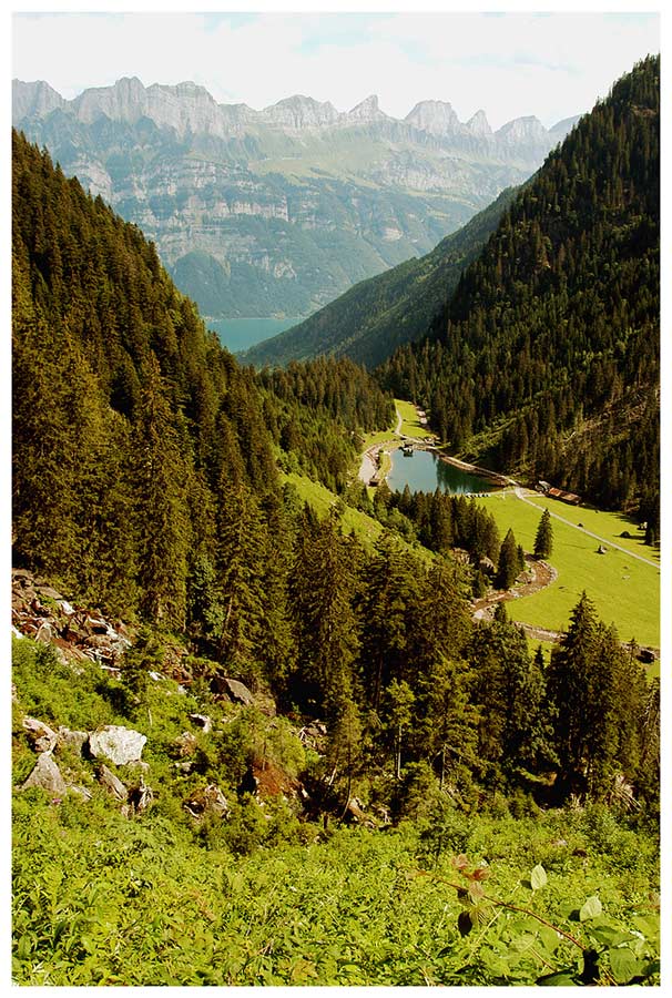 Blick aus dem Murgtal Richtung Walensee, Churfirsten
Schlüsselwörter: Murgtal, Walensee, Churfirsten