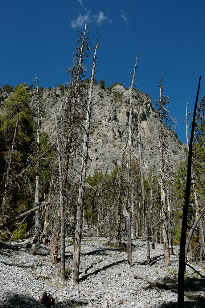 Landschaft am Ofenpass, Schweizer Nationalpark.
Schlüsselwörter: Landschaft, Ofenpass, Schweizer Nationalpark