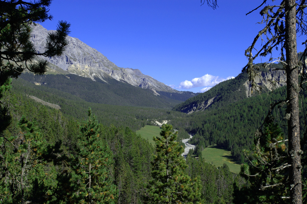Ofenpass. Schweizer Nationalpark
Schlüsselwörter: Landschaft, Ofenpass. Schweizer Nationalpark