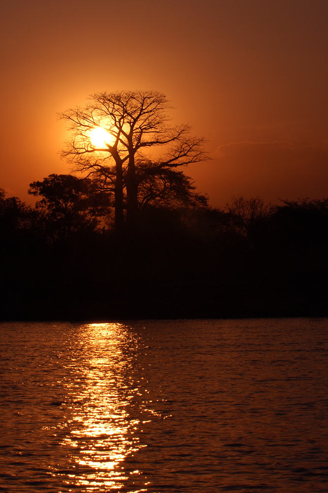 Sonnenuntergang am Okavango
Schlüsselwörter: Namibia, Okavango, Sonnenuntergang