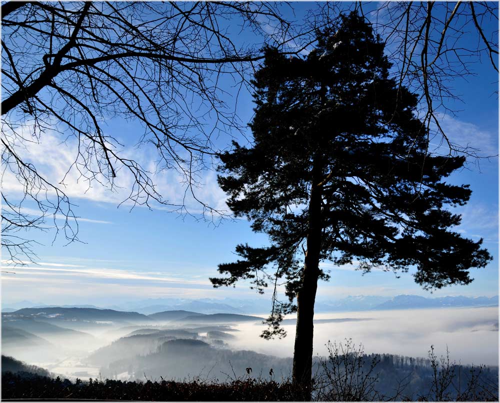 Uetliberg Richtung Reppischtal
Schlüsselwörter: Uetliberg, Reppischtal, Zürich, Landschaft