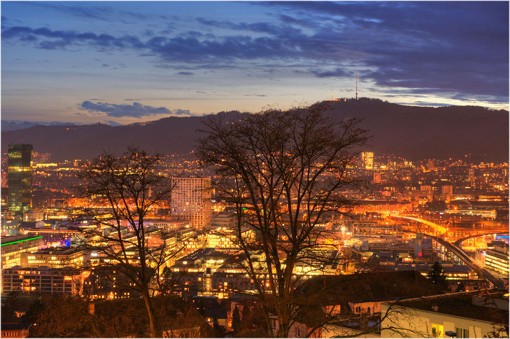 Ueltiberg mit Zürich voin der Waid aus
