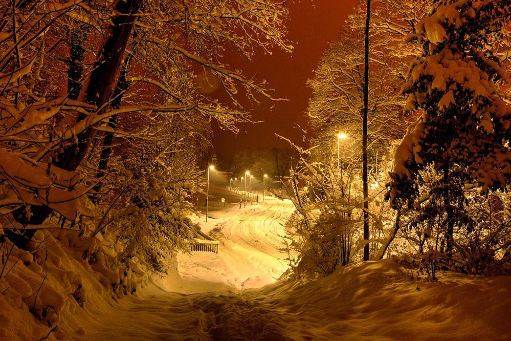 kleine Waldegg 
verschneit 2015
Schlüsselwörter: kleine_Waldegg, Zürich, Winter 2015