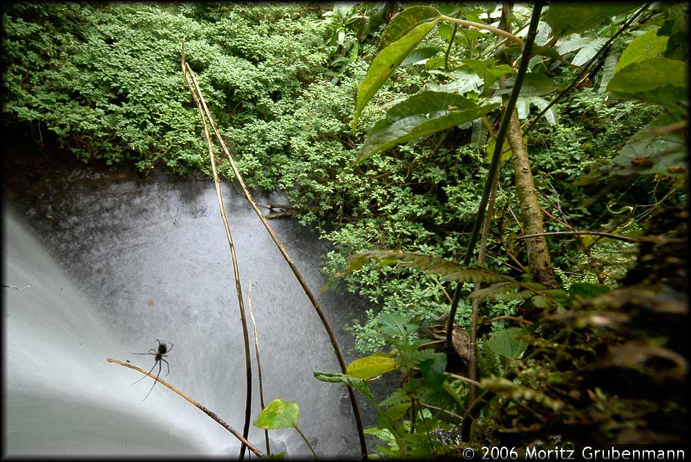 Wasserfall
Schlüsselwörter: Wasserfall, Montagne d'Ambre, Nord- Madagaskar