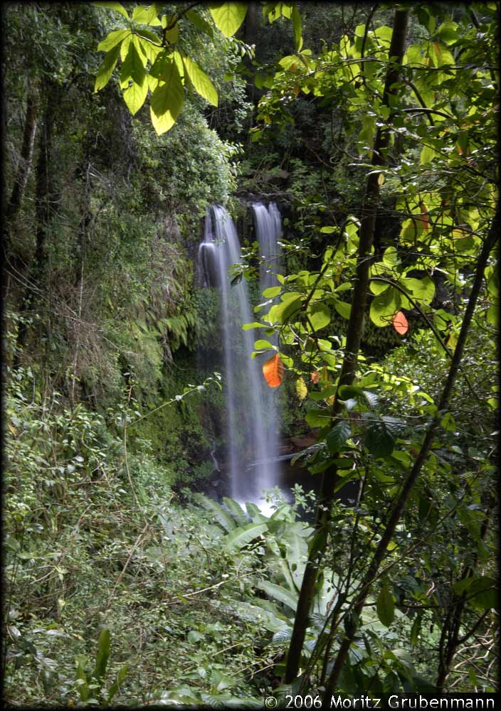 Wasserfall II
Schlüsselwörter: Wasserfall, Montagne d'Ambre, Nord- Madagaskar