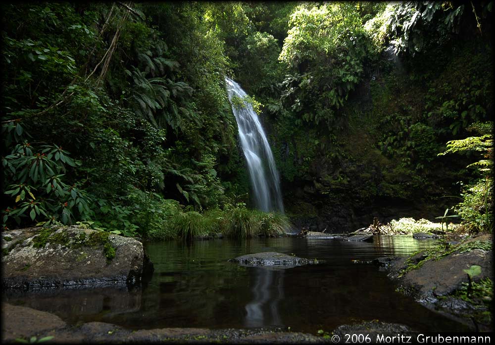 Petit Cascade
Schlüsselwörter: Petit Cascade, Montagne d'Ambre, Nord-Madcagaskar