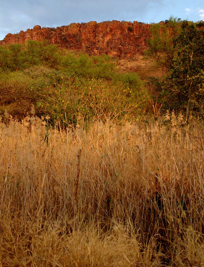 Waterbergplateau
Waterberg, ein Hochplateau mit einem Naturschutzgebiet, Nördlich von Windhuk.
Schlüsselwörter: Namibia, Waterbergplateau