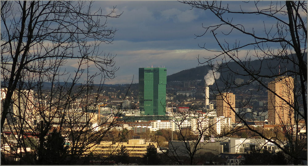 Primetower vom Waldrand Uetliberg aus
Schlüsselwörter: Prime Tower