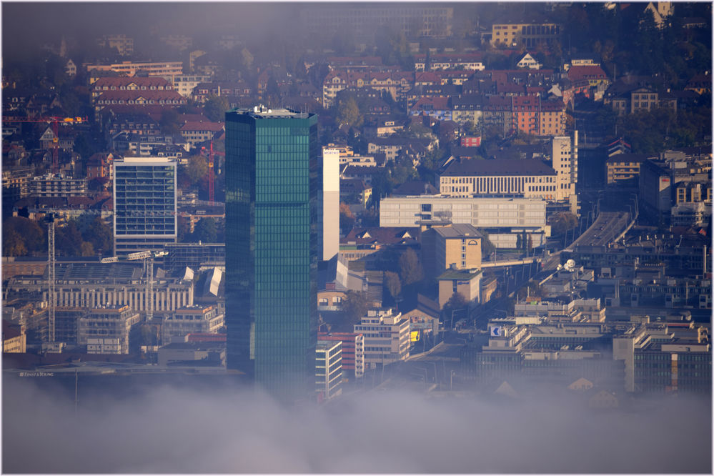 _D4M9117_8_9_tonemapped.jpg