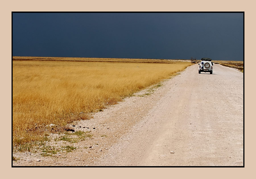 erster Regen
Schlüsselwörter: erster regen Etoscha, Namibia