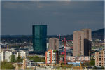 _MG82920.jpg