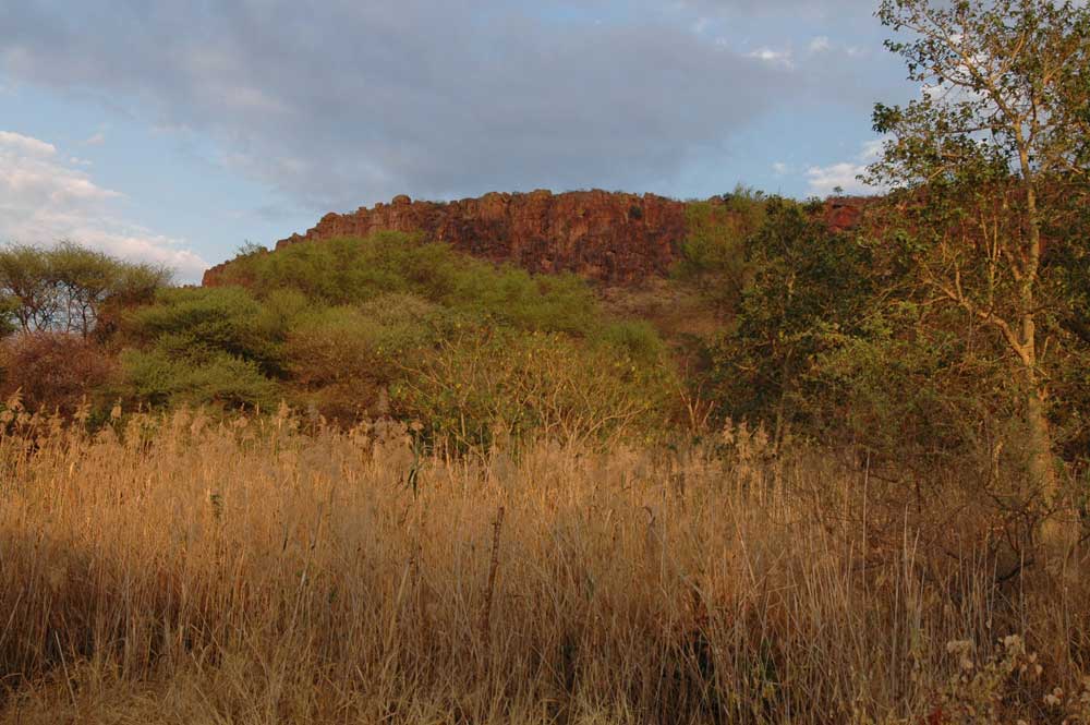Waterberg
Waterbergplateau
Schlüsselwörter: Namibia, Waterberg