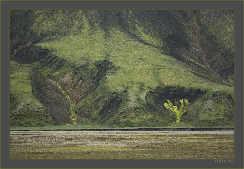 Isländisch Moos
Schlüsselwörter: Island, Landmannalaugar