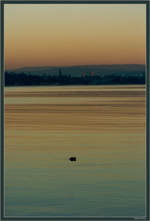 frühmorgens am Zürichsee
Auf dem Weg zur Arbeit muss ich manchmal einfach anhalten und verweilen...
Blick von Goldbach richtung Enge.
Schlüsselwörter: Zürichsee