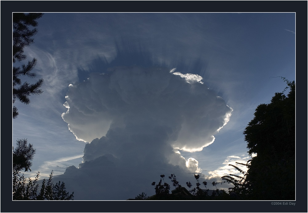 Atompilz ?
Ein Wetterphänomen am 5. August 2004, 19:45 über dem Zürichsee.
