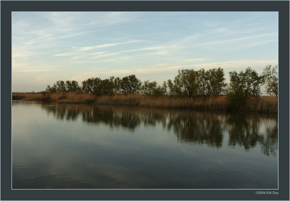 Dämmerung in den Sümpfen der Camargue
Schlüsselwörter: Camargue