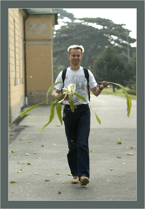 Opfergaben
Ralf beim Ueberbringen eines seiner schönen Pflanzenexemplare, hier Disocactus amazonicus an den Berggarten Hannover
Schlüsselwörter: Bergarten, Hannover, Herrenhäuser Gärten, Disocactus amazonicus