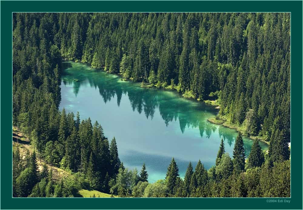 Crestasee
vom Burgruinenhügel Belmont bei Fidaz aus gesehen.
AF-S VR 70-200 f/2.8
Schlüsselwörter: Flims, Fidaz, Crestasee, Belmont