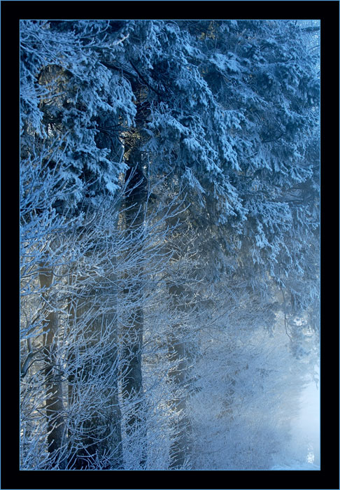 Schneeblau
Stimmungsbild im Nebel, Pfannenstiel, zwischen Zürich- und Greifensee.
Schlüsselwörter: Pfannenstiel, Zürichsee, Greifensee, Winter, Nebel, Reif