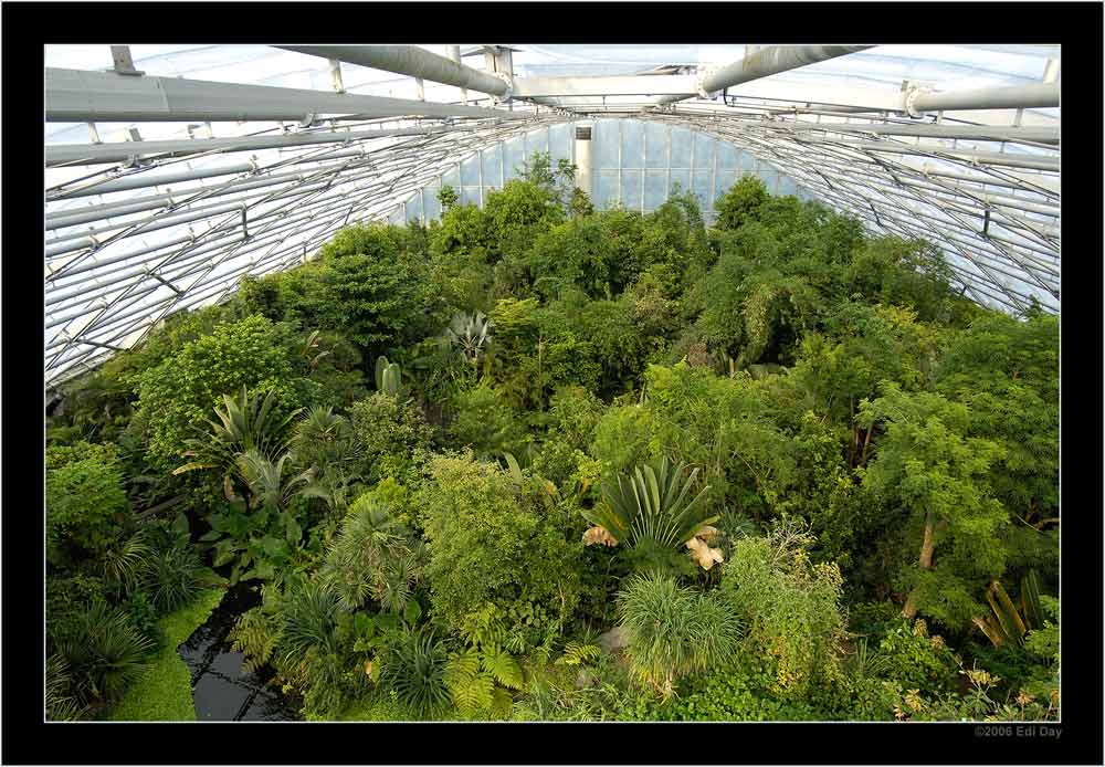 mal ne andere Ansicht...
...von der Masoalahalle
Schlüsselwörter: Masoalahalle, Zoo, Zürich