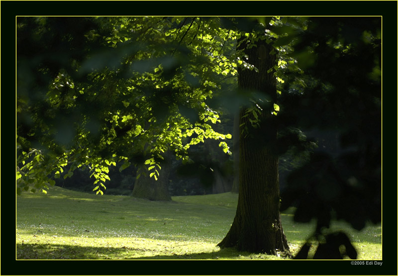 Stadtpark früh morgens
