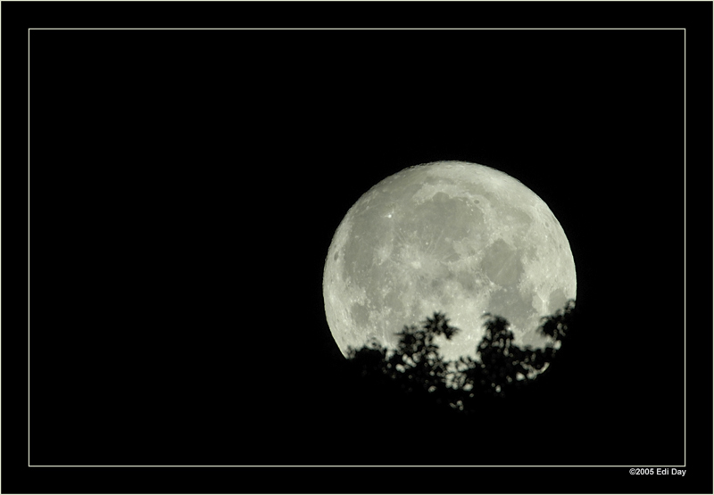 Vollmond über dem Monte Verita bei Ascona
immer wieder schön!
Schlüsselwörter: Vollmond, Mond