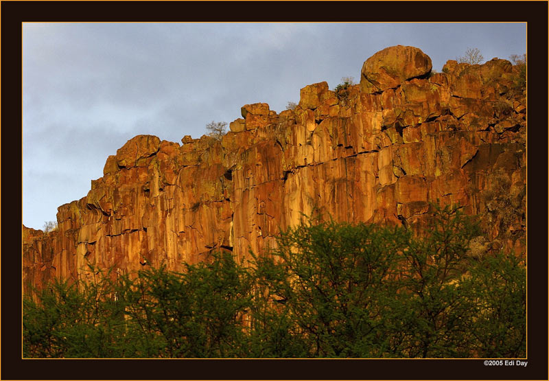 Waterberg
ein spannendes Hochplateau im Herzen von Namibia
Schlüsselwörter: Namibia, Waterberg, Hochplateau