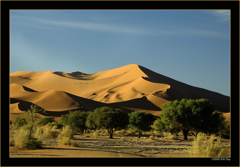 Soussus Vlei
Schlüsselwörter: Namibia, Soussus vlei