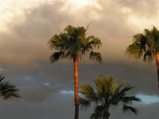 Abendstimmung Teneriffa
Es war eine herrliche Abendstimmung auf Teneriffa!
