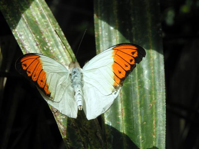 Schattenspiel
mich inspirierte die Abwechslung zwischen Sonne, Schatten und Farben

