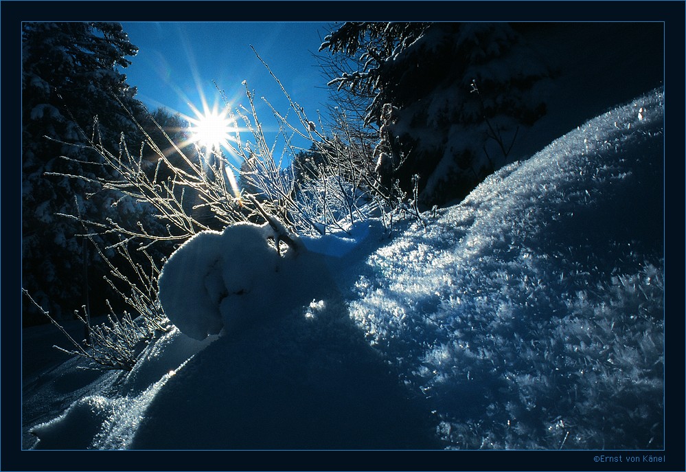 Winterstille
Nikon F5 28mm
Schlüsselwörter: Lichtzauber, Gegenlicht, Stille, Staunen