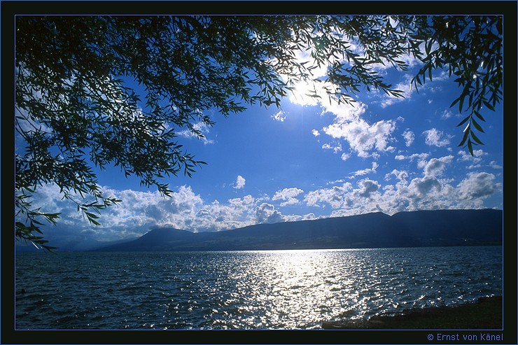 Sommertraum
Sigma 14mm
Schlüsselwörter: Abendstimmung am Neuenburgersee