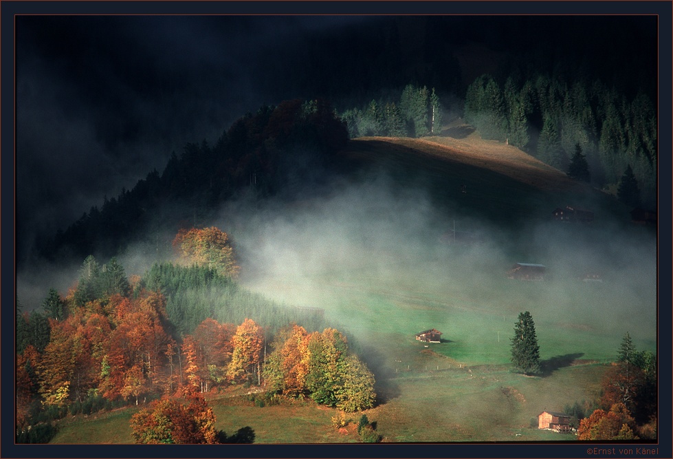 Herbst
Nikon F5 400mm Sigma
