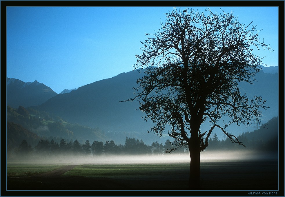 Herbst
Nikon F5 80 - 200mm
Schlüsselwörter: Morgennebel, Stille, Besinnung