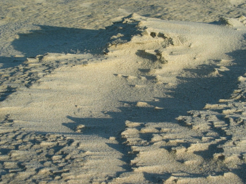 Strukturen im Sand
Der ewige Wind am Meer erzeugt bizzare Strukturen im Sand
Schlüsselwörter: Strukturen im Sand