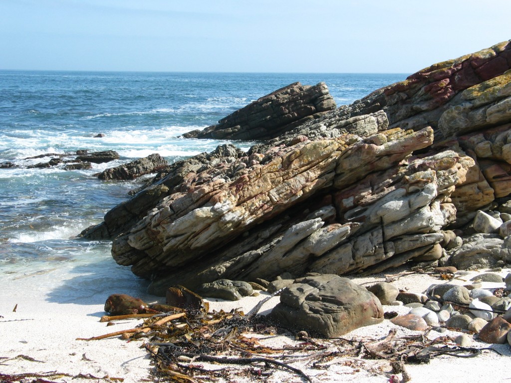 Cape of good hope
Am Kap der guten Hoffnung
Schlüsselwörter: Cape of good hope