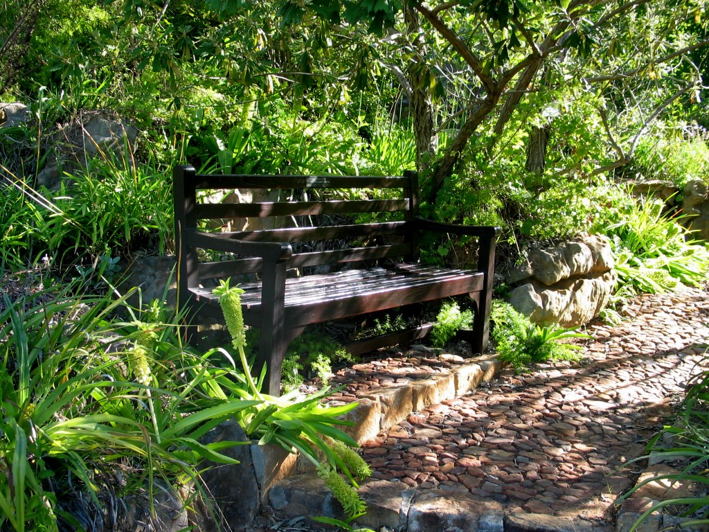 Kirstenbosch
Ein ruhender Pol im Botanischen Garten Kirstenbosch
Schlüsselwörter: Kirstenbosch